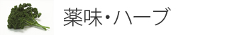 薬味・ハーブ